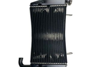 Radiatore acqua Ducati