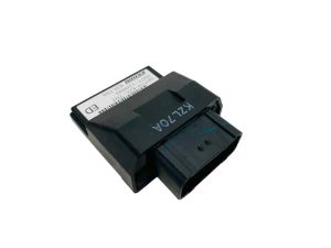 Centralina ecu keihin Honda Vision