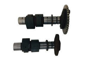 Coppia albero a camme Honda Deauville 700