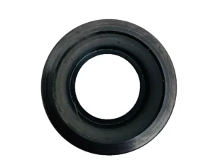 Bussola Ducati Santamonica 750