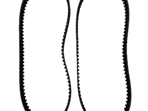 Cinghia ducati 748 R